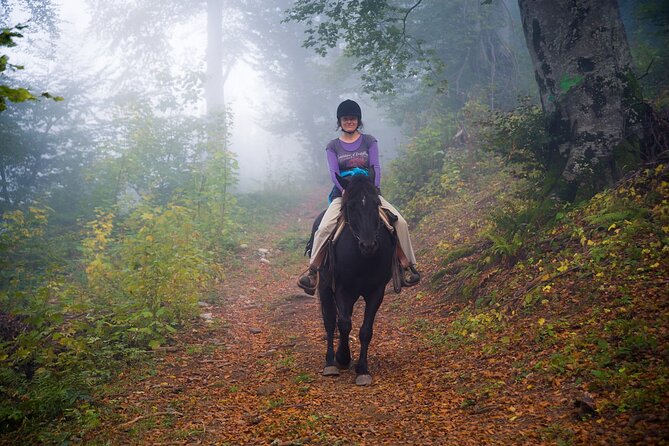 Balkan Horse Riding - Glozhene Monastery Ride - Should you book the Glozhene Monastery ride?