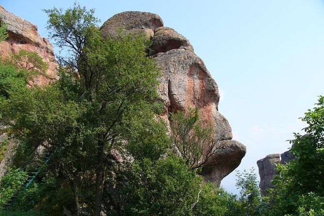 Belogradchik Full-day Tour from Sofia - The ride from Sofia: useful, comfortable, and long