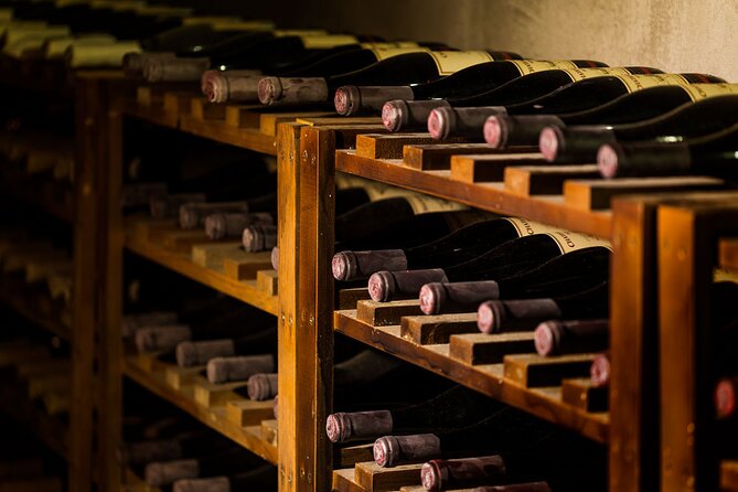 Chateau Copsa Wine Tasting Tours & Activities - A warm welcome with sommelier guidance