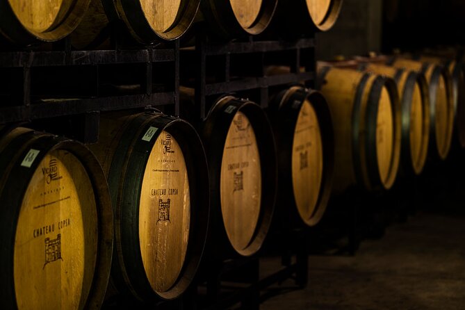 Chateau Copsa Wine Tasting Tours & Activities - What the two-hour winery visit can include