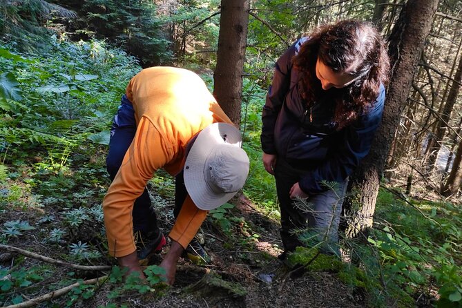 Culinary Adventure To The Fungi And Botanical Kingdom Of Bulgaria - A guide who turns identification into a lesson