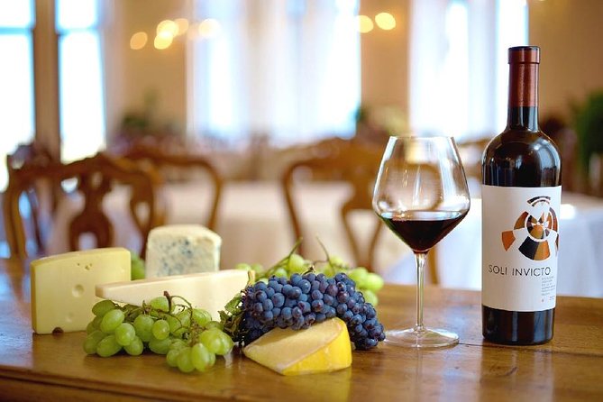 Edoardo Miroglio Private Boutique Winery Tour - Inside the winery: production, cellar, and working methods