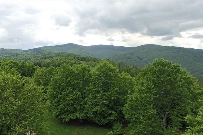 From Sofia: Serbia and Macedonia Trip - A lot of driving, with good scenery