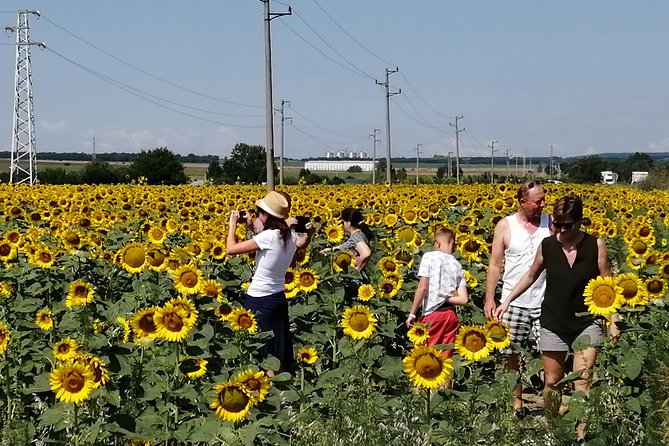 Full-Day Small-Group Tour of Bulgaria by Minivan with Lunch - Beloslav, distillery, and lunch in a local home
