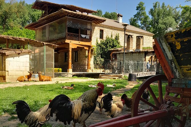 Full-Day Small-Group Tour of Bulgaria by Minivan with Lunch - What the social and cultural commentary adds