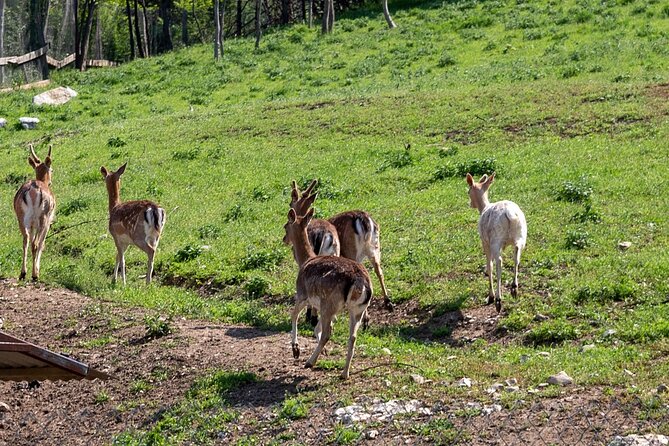 Half-Day of Horseback Adventure with Wine Tasting - From Plovdiv to Yustina Vineyard Park