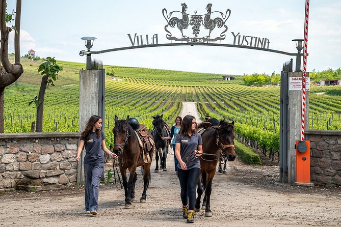 Half-Day of Horseback Adventure with Wine Tasting - Rivers, fields, and forest paths