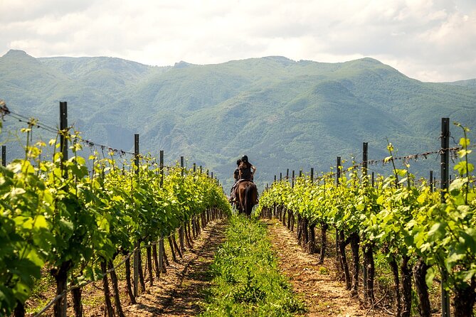 Half-Day of Horseback Adventure with Wine Tasting - A packed lunch beside the river