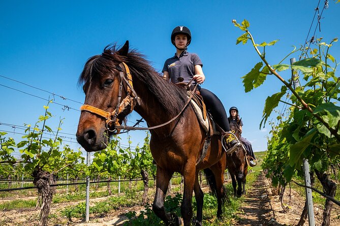 Half-Day of Horseback Adventure with Wine Tasting - Reaching Red Church