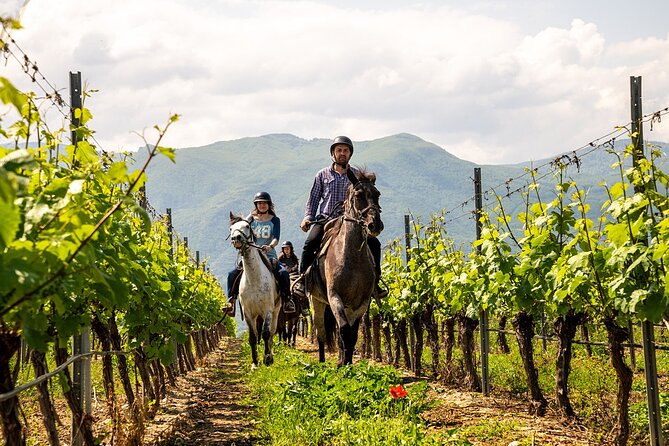 Half-Day of Horseback Adventure with Wine Tasting - Wine tasting at Yustina Vineyard Park