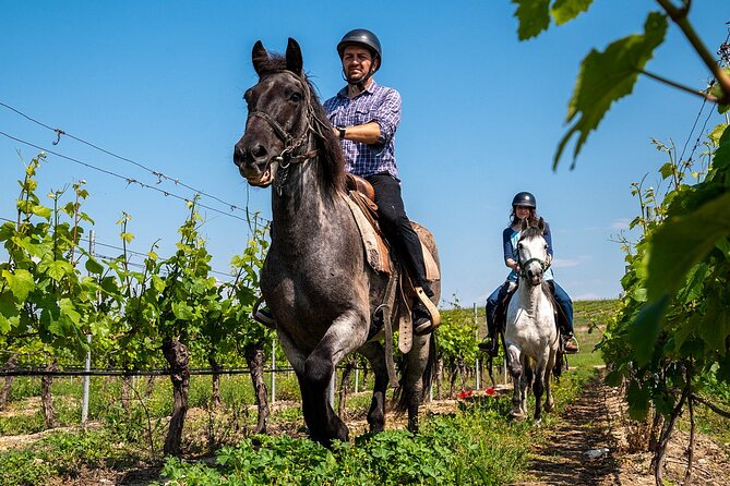 Half-Day of Horseback Adventure with Wine Tasting - What the $179.01 price includes