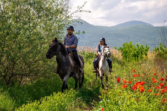 Half-Day of Horseback Adventure with Wine Tasting - Riding through vineyards and Rhodope foothills