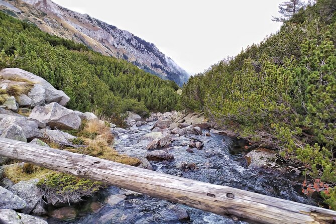 Hiking in Pirin- the UNESCO World Heritage Natural Park with a visit of Bansko - Bansko after the mountain