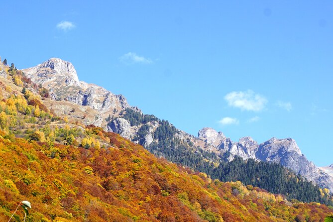 Incredible Day tour from Sofia to 7 Rila lakes and Rila monastery - What the guides add to the day