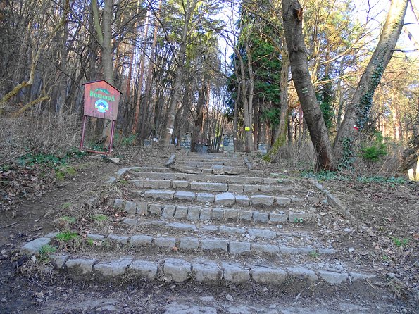 Mt. Vitosha and Boyana Waterfall Hiking Tour from Sofia - Reaching the summit and looking down on Sofia