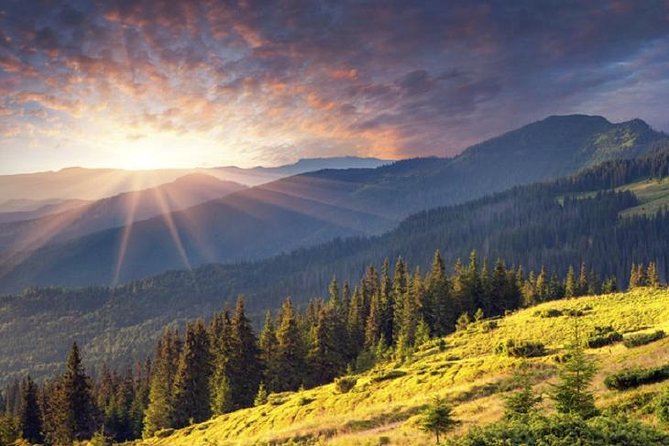 Mt. Vitosha and Boyana Waterfall Hiking Tour from Sofia - How hard is the walking?