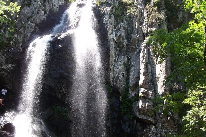 Mt. Vitosha and Boyana Waterfall Hiking Tour from Sofia - Food, transport, and the real value of $131.81