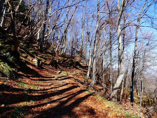Mt. Vitosha and Boyana Waterfall Hiking Tour from Sofia - What can go wrong, and how to avoid disappointment