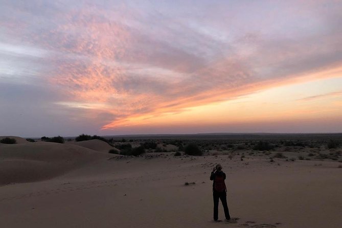 Non Touristic Half Day Camel Safari Thar Desert Sunset - A desert trip with more than a camel ride