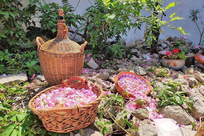 Picking Roses Workshop & Extracting Rose Oil in the Rose Valley - How private group format affects the visit