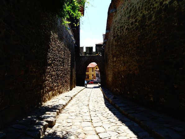 Plovdiv and Perushtitsa Day Trip with Wine Tasting from Sofia - Transport, comfort, and the long road day