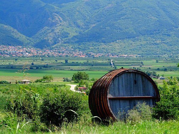 Plovdiv and Thracia Valley with Wine Tasting - Is $174.22 Good Value?