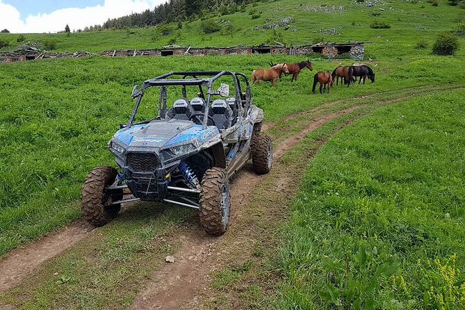 Private 1-Hour Quad or Buggy Safari in Borovets - Price, deposits, and real value