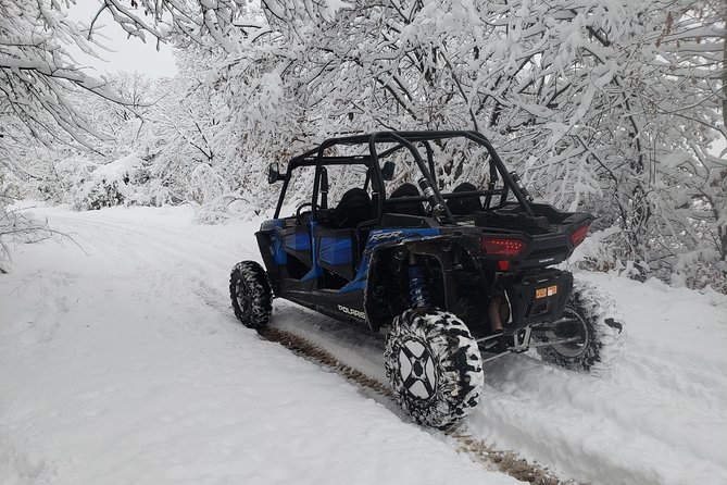 Private Buggy Experience All Seasons in Pamporovo - A one-hour route with the guide out front