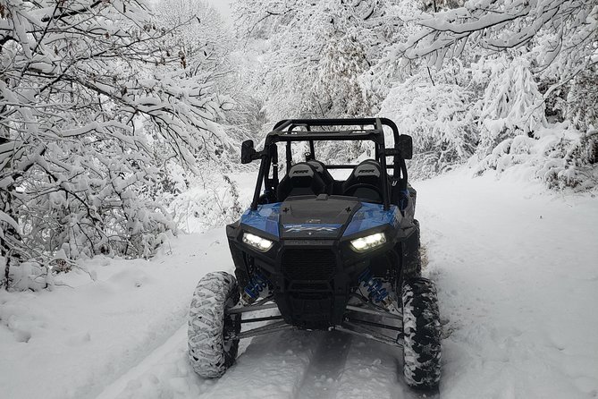 Private Buggy Experience All Seasons in Pamporovo - The buggy itself and the driving setup