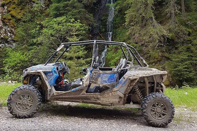 Private Buggy Experience All Seasons in Pamporovo - Why each season changes the ride