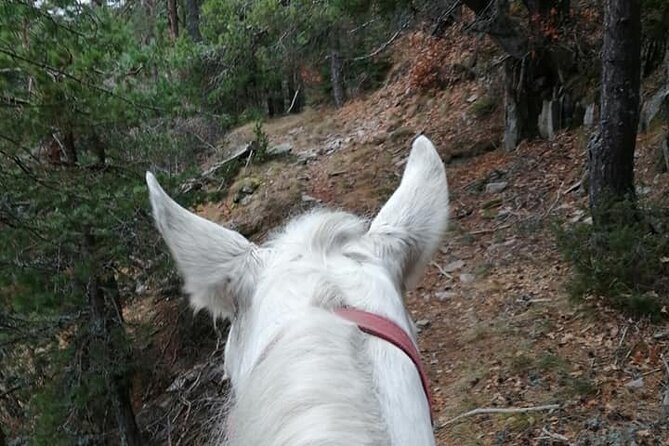 Private Cascades Waterfall Horseback Riding Tour from Smolyan - Meeting Jivko in Smolyan