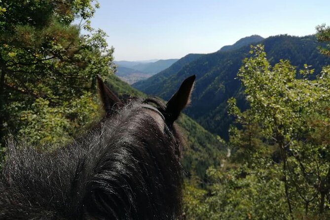 Private Cascades Waterfall Horseback Riding Tour from Smolyan - Riding through the Rhodope Mountains