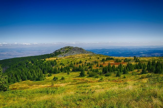 Private Day Trip to the Vitosha Mountain and Pancharevo Lake - Transport, timing, and physical effort