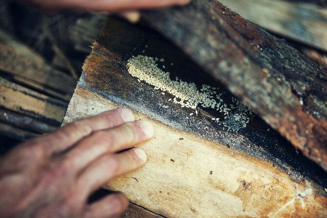 Private Experience in Wildlife Survival School in Bulgaria - What to Pack and How Hard Is It?