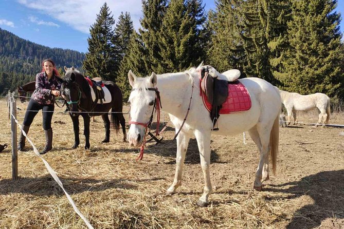 Private Horseback Riding the Rila Range - Starting at Samokov and Iskar Reservoir