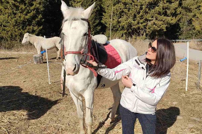 Private Horseback Riding the Rila Range - Who will enjoy this most