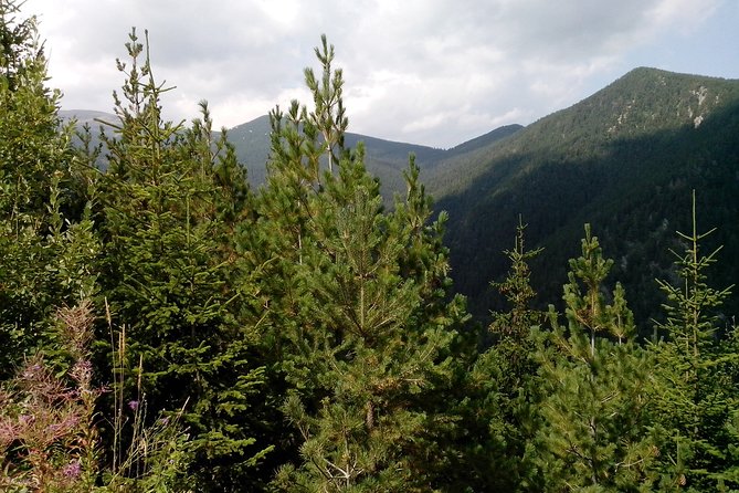 Private Vitosha Mountains Hiking with Black peak & Dragalevtsi Monastery - Cherni Vrah, Sofia’s mountain summit
