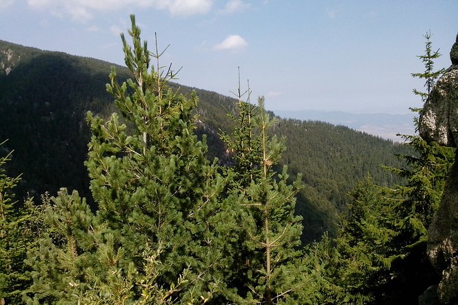 Private Vitosha Mountains Hiking with Black peak & Dragalevtsi Monastery - What to pack for Vitosha