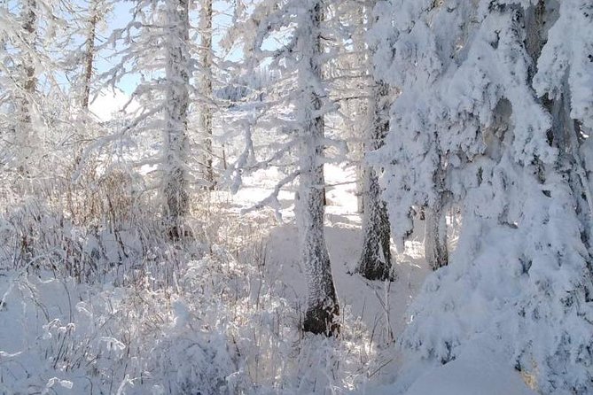 Private Vitosha Mountains Hiking with Black peak & Dragalevtsi Monastery - Who should book this mountain day?