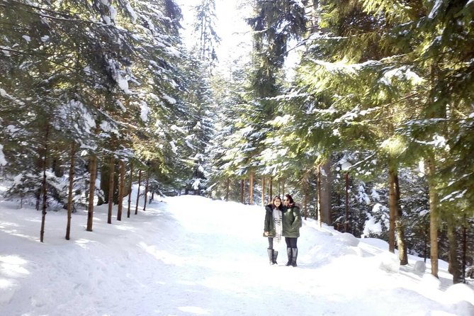 Private Winter Day Trip to the Rila Mountain - Borovets Ski Resort and its five possible plans