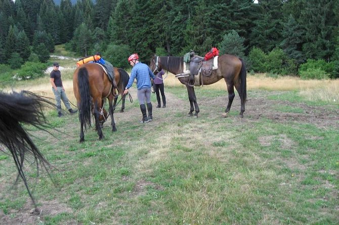 Rila Trail Riding for Experienced Riders - Five to six hours through gentle mountain terrain