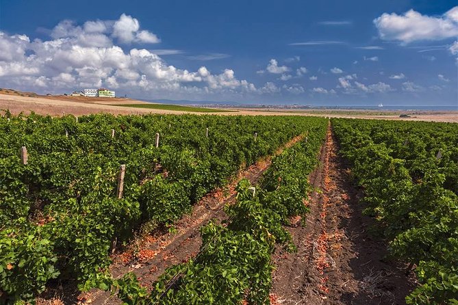 Special History And Wine Tour including Wine Tasting - Walking the grounds and hearing the 917 story