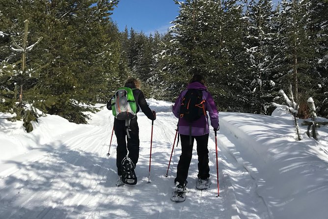 The Best of Bansko: Magical Snowshoeing Adventure & SPA - Snowshoeing into Pirin National Park