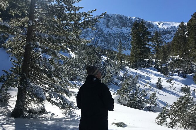 The Best of Bansko: Magical Snowshoeing Adventure & SPA - Who will enjoy this most?