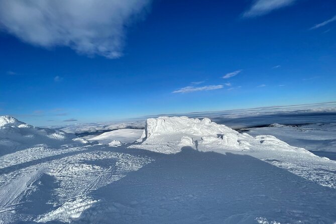 The Best of Sofia: Magical Snowshoeing Adventure in Vitosha & SPA - Choosing between an easy walk and a tougher outing