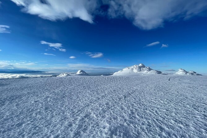 The Best of Sofia: Magical Snowshoeing Adventure in Vitosha & SPA - What the $103 price includes, and what it does not