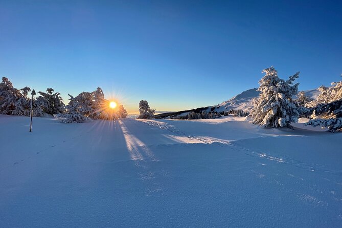The Best of Sofia: Magical Snowshoeing Adventure in Vitosha & SPA - Timing, transport, and winter planning