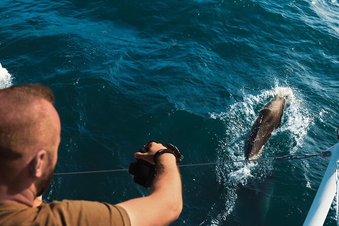 VIP Catamaran 4 hour Activity with Snorkeling in Bulgaria - What the 4.6 rating means for your decision