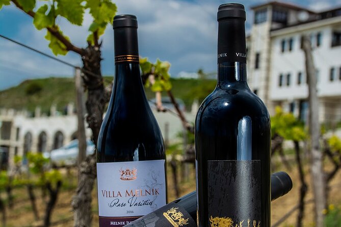 Wine Tasting & More in Villa Melnik – One of the World’s Best Wineries - Who Gets the Best Value