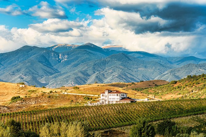 Wine Tasting & More in Villa Melnik – One of the World’s Best Wineries - The Tasting Package Is the Key Choice